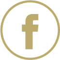 fb icon